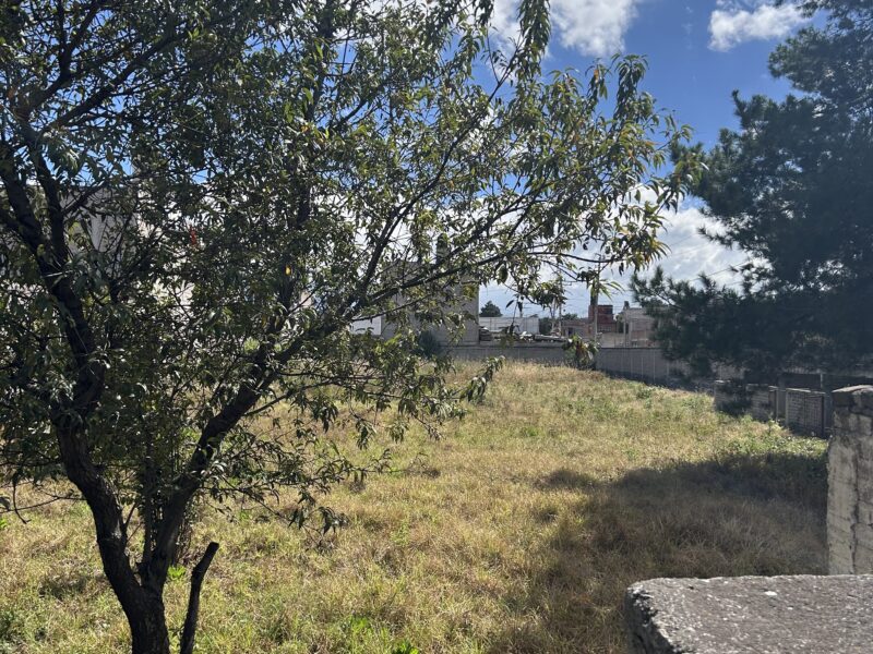 San Vicente Chicoloapan - 2,990 m² - Uso Mixto