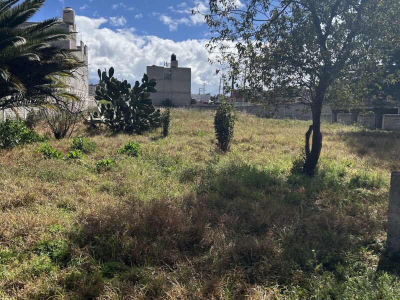 San Vicente Chicoloapan - 2,990 m² - Uso Mixto