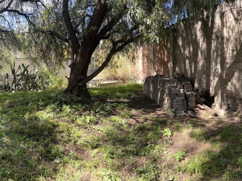 San Vicente Chicoloapan - 2,990 m² - Uso Mixto