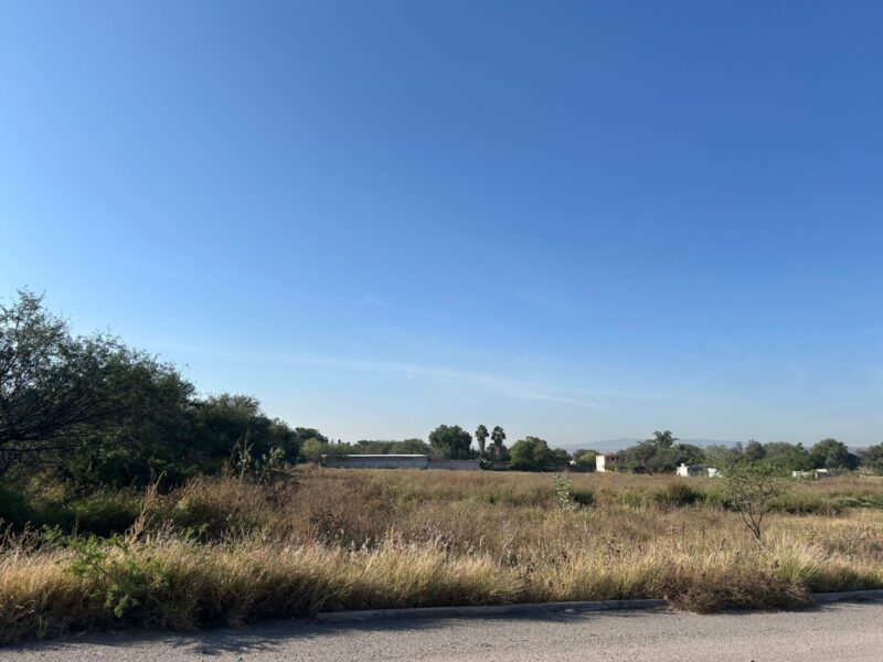 Terreno Apaseo El Grande 1.7 Ha – Ubicación Estratégica Frente a Planta Toyota | Uso Mixto