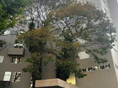 Departamento amueblado en renta en Villa Florence | 225 m² | 3 estacionamientos y amenidades premium